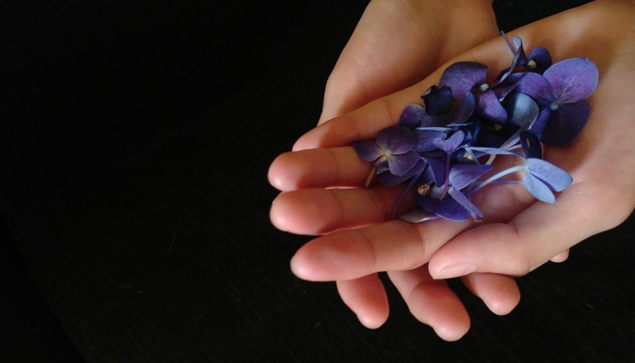 最新疫情回家文案：让您轻松应对变幻莫测的公共卫生挑战