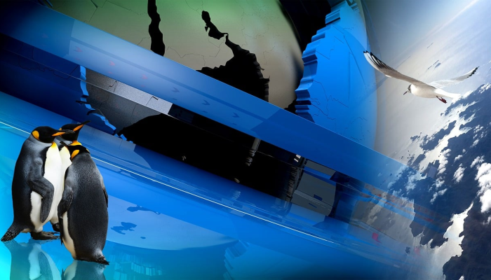 临淄川疫情最新消息：安全与健康并行，共同携手战胜挑战