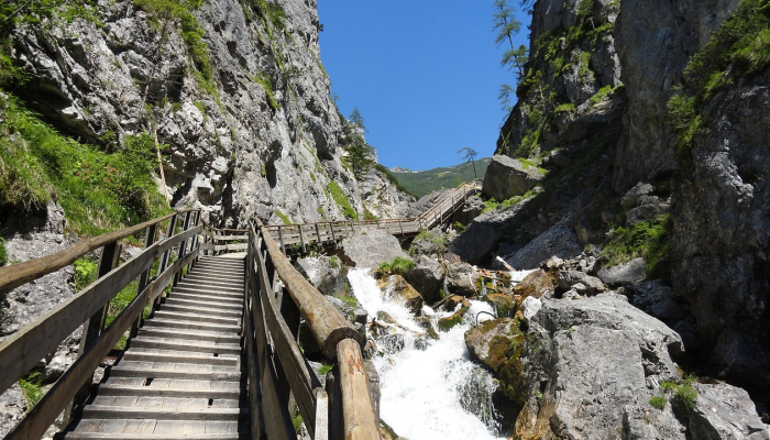 黑龙江疫情关注图最新:实时掌握防疫动态,为您的健康保驾护航 黑龙江疫情关注图最新:实时掌握防疫动态,为您的健康保驾护航