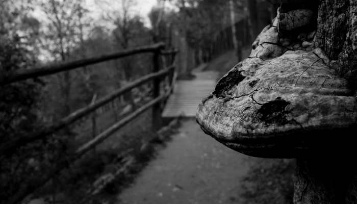 常熟最新疫情通报：全面了解防疫进展与生活指南