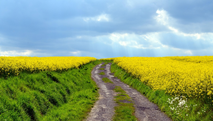 逊克农场最新疫情:防疫措施与未来展望 逊克农场最新疫情:防疫措施与未来展望