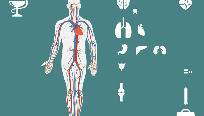 清苑疫情最新通报:我们共同携手,战胜疫情 清苑疫情最新通报:我们共同携手,战胜疫情
