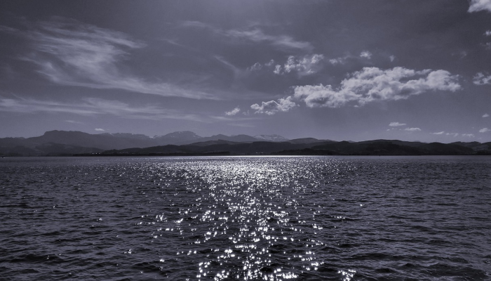 东莞疫情最新动态顺丰:为您提供最新、最全、最权威的疫情信息 东莞疫情最新动态顺丰:为您提供最新、最全、最权威的疫情信息