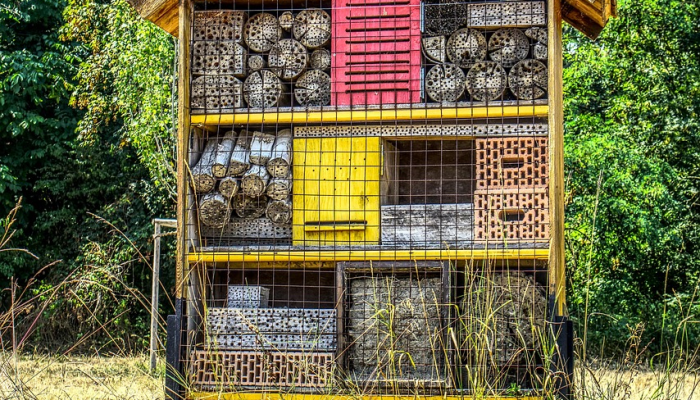 商丘街头疫情视频最新:一窥城市防疫实战与民众应对 商丘街头疫情视频最新:一窥城市防疫实战与民众应对