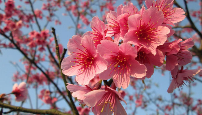 吉林疫情微博合集最新：真实、第一手的疫情动态直击