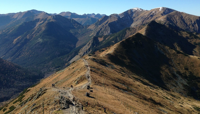 泰山摩崖疫情最新消息:山上平安,人心安 泰山摩崖疫情最新消息:山上平安,人心安