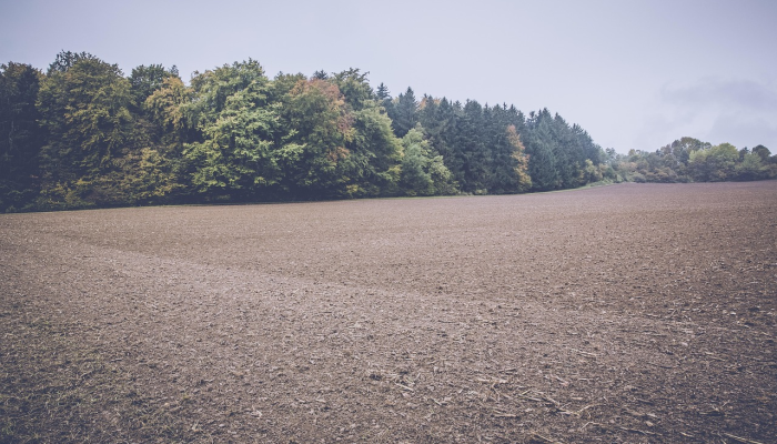 重庆疫情地图今天最新：精准、实时、全面的健康信息指南