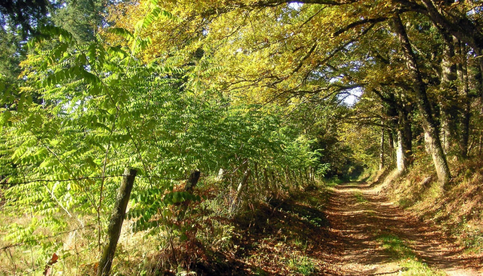 兰州最新疫情航班：安全出行指南与实时动态