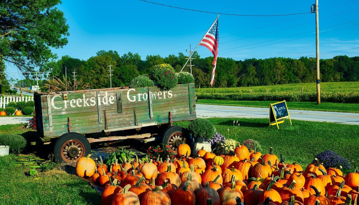 疫情最新报告韩城：掌握最新动态，保护健康第一