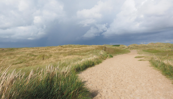 湘潭市疫情最新动态:保护健康,共同守护 湘潭市疫情最新动态:保护健康,共同守护