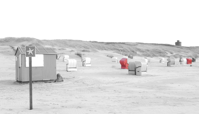 郑州教授谈疫情最新