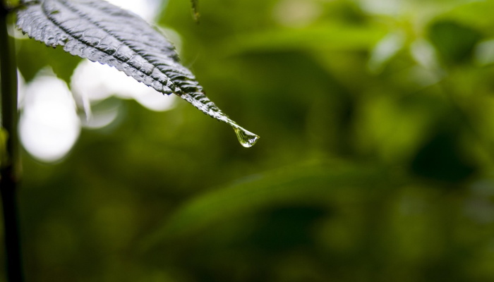 神池疫情最新通报：防控措施与社区支持