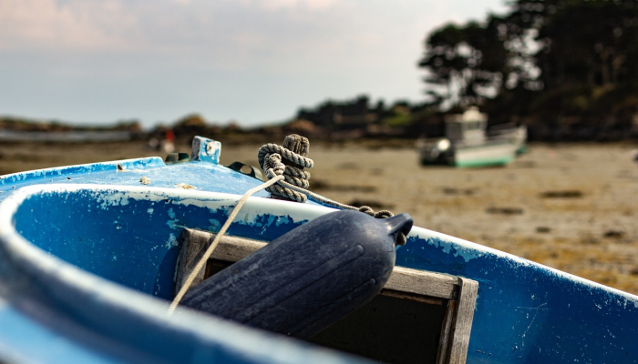 山东疫情疫情最新信息:全面了解最新动态与防疫指南 山东疫情疫情最新信息:全面了解最新动态与防疫指南